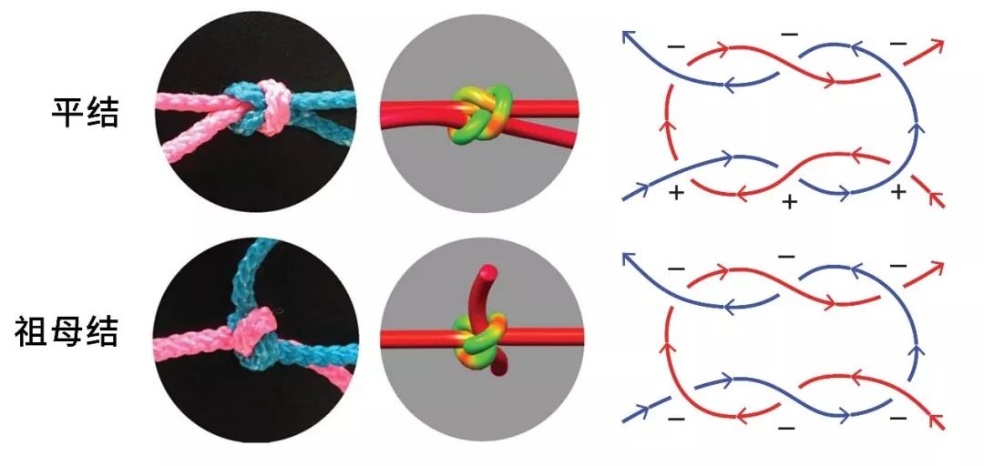 关于绳结强度的一个有趣知识- 走天涯