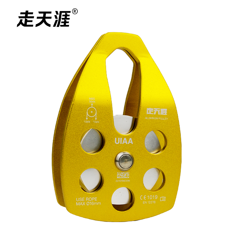 bigpulley gold