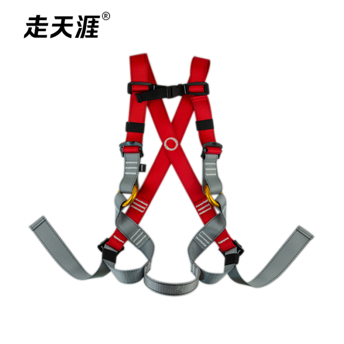 Child full body harness