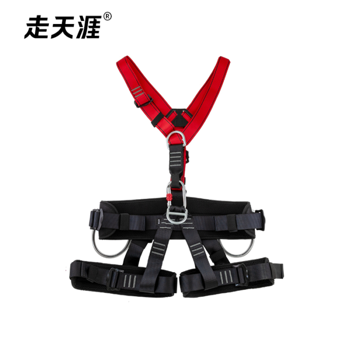 Full body harness