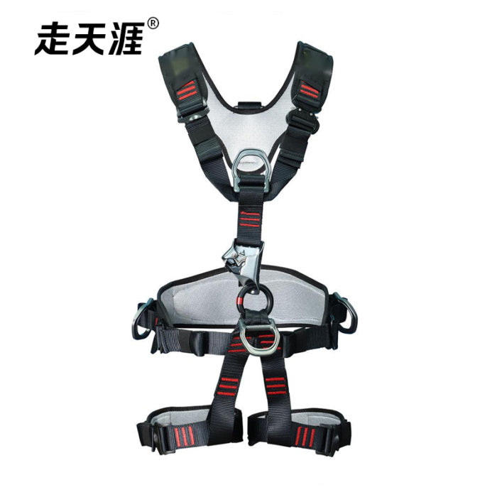Full body harness with chest ascender